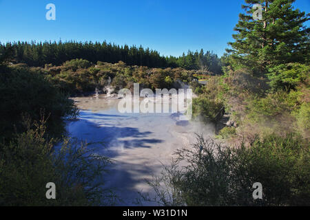 Land der Geysire in Rotorua, Neuseeland Stockfoto