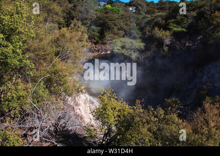 Land der Geysire in Rotorua, Neuseeland Stockfoto