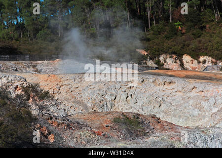 Land der Geysire in Rotorua, Neuseeland Stockfoto