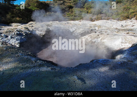 Land der Geysire in Rotorua, Neuseeland Stockfoto