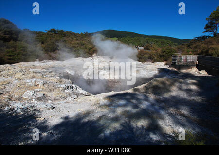 Land der Geysire in Rotorua, Neuseeland Stockfoto