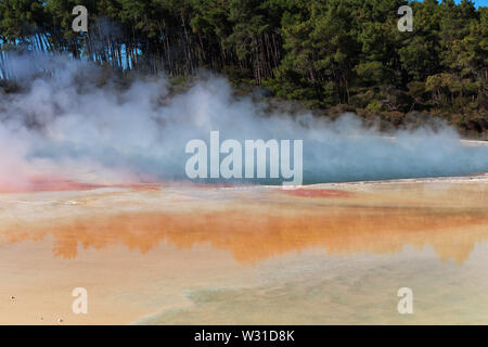 Land der Geysire in Rotorua, Neuseeland Stockfoto