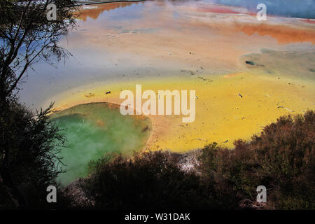 Land der Geysire in Rotorua, Neuseeland Stockfoto