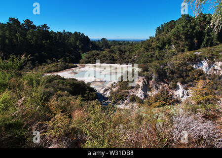 Land der Geysire in Rotorua, Neuseeland Stockfoto