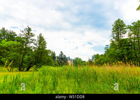 Park und Schloss in Goluchow im Sommer, Polen Stockfoto
