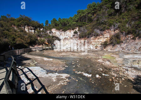 Land der Geysire in Rotorua, Neuseeland Stockfoto