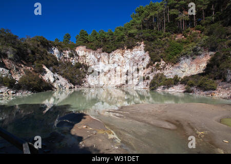 Land der Geysire in Rotorua, Neuseeland Stockfoto