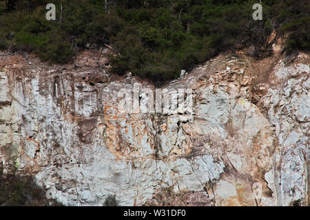 Land der Geysire in Rotorua, Neuseeland Stockfoto