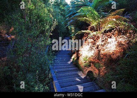 Land der Geysire in Rotorua, Neuseeland Stockfoto