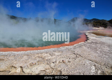 Land der Geysire in Rotorua, Neuseeland Stockfoto