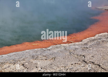 Land der Geysire in Rotorua, Neuseeland Stockfoto