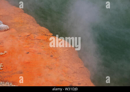 Land der Geysire in Rotorua, Neuseeland Stockfoto