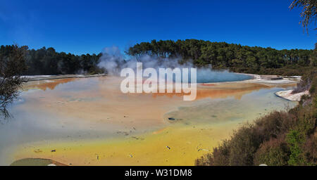 Land der Geysire in Rotorua, Neuseeland Stockfoto