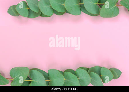 Kranzrahmen aus Ästen Eukalyptus auf weichem rosa Hintergrund. Flach liegend. Draufsicht. Stockfoto