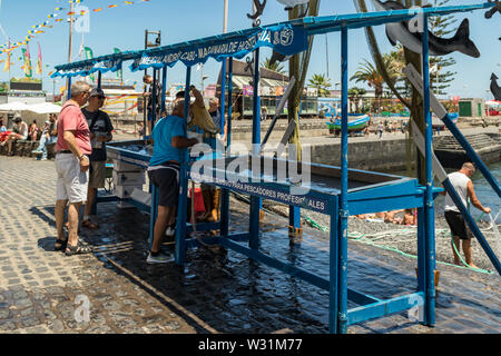 Puerto Cruz, Teneriffa, Spanien - 10. Juli 2019: Fischer nach einem erfolgreichen Angeln, hinter der Theke verkauft seinen Fang von Fisch und Schalentieren. Sanfte w Stockfoto