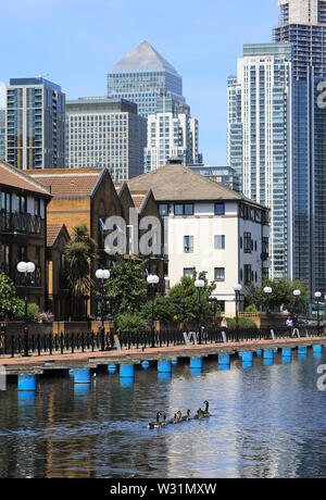 Clippers Quay, auf der Suche nach äußeren Millwall Dock und der Canary Wharf auf der Isle of Dogs, East London, UK Stockfoto