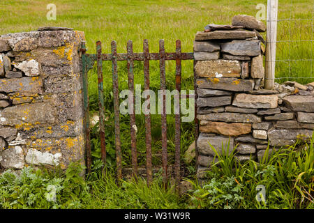 Verrostete Eisentor in alten Mauer aus Stein, die in der Grafschaft Galway Irland Stockfoto
