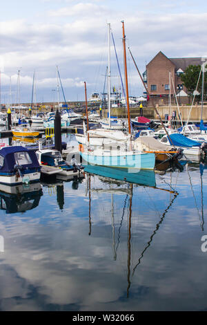 11 Juli 2019 Boote in der modernen Marina in Bangor County Down Nordirland günstig an einem lauen Sommerabend Stockfoto