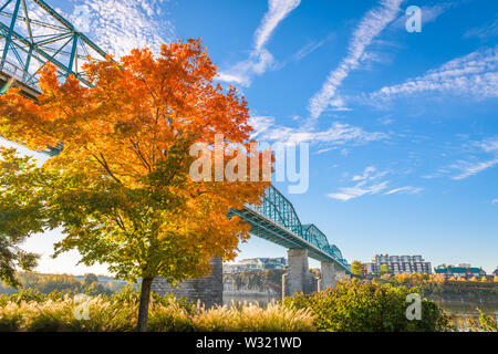 Chattanooga, Tennessee, USA im Herbst Jahreszeit an der Walnut Street Bridge. Stockfoto