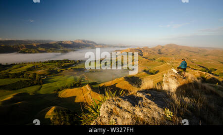 Morgen Blick von Te Mata Peak, Neuseeland Stockfoto
