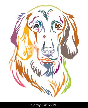 Bunt dekorativ Umrisse Portrait von Langhaarigen weimaraner Hund, Vector Illustration in verschiedenen Farben auf weißem Hintergrund. Bild für des Stock Vektor