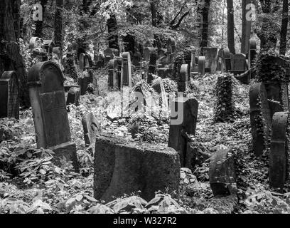 Alte, vernachlässigte Grabsteine unter dem Gestrüpp, in der Neue Jüdische Friedhof in Kazimierz, dem historischen jüdischen Viertel, in Krakau, Polen. Stockfoto