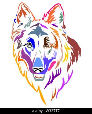 Bunt dekorativ Umrisse Portrait von Langhaarigen Deutscher Schäferhund, Vector Illustration in verschiedenen Farben auf weißem Hintergrund. Bild fo Stock Vektor