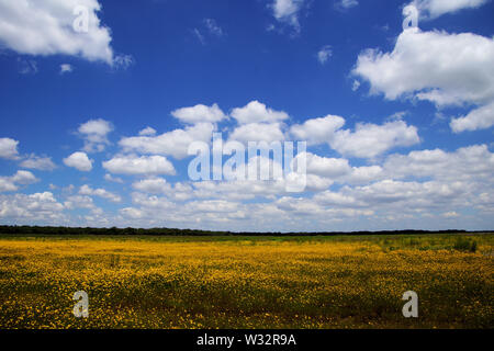 Friedliche Gehweg Wanderwege durch üppig grüne Landschaft mit herrlichem Blick Stockfoto