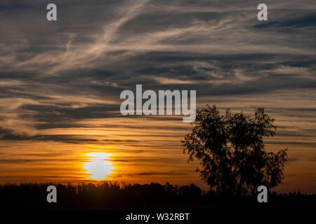 Atardecer en El Campo. Bella tarde con suaves Nubes coloridas por el Sol poniente en un Campo de Domselaar, Buenos Aires, Argentinien. Stockfoto