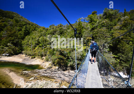 Hängebrücke im Abel Tasman National Park, Neuseeland Stockfoto