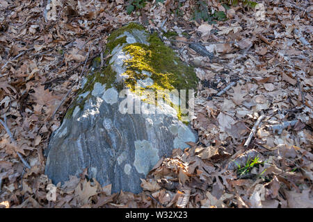 Sonnenstrahlen das Schlagen eines bemoosten Felsbrocken liegen unter den Gefallenen trockene Blätter Stockfoto