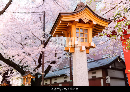 Hanazono Heiligtum in Shinjuku Station, Tokyo, Japan inari Tempel mit orange Holz- Lampe Architektur an Cherry Blossom flower Saison Stockfoto