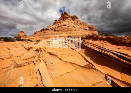 Sandstein Flossen an Coyote Buttes South, Arizona, Vereinigte Staaten von Amerika Stockfoto