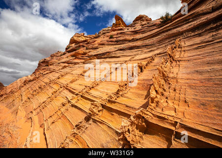 Sandstein Flossen an Coyote Buttes South, Arizona, Vereinigte Staaten von Amerika Stockfoto