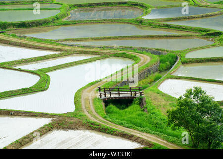 Tashinobusho, kostbare Dorf in Japan, die Welt landwirtschaftliche Welterbe Stockfoto