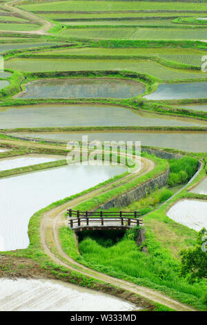 Tashinobusho, kostbare Dorf in Japan, die Welt landwirtschaftliche Welterbe Stockfoto