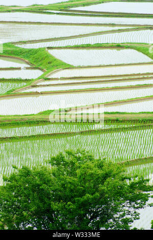 Tashinobusho, kostbare Dorf in Japan, die Welt landwirtschaftliche Welterbe Stockfoto