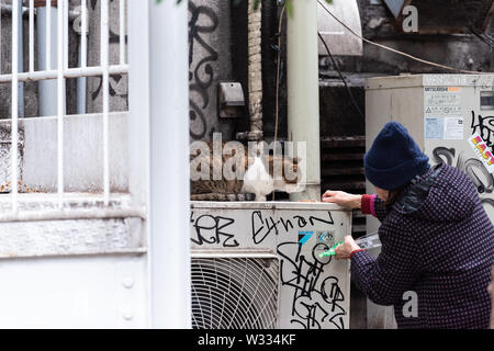 Tokio, Japan - April 1, 2019: Ältere Frau füttern streunende Katze mit Trockenfutter in Shinjuku boardwalk Vier Jahreszeiten Park Stockfoto