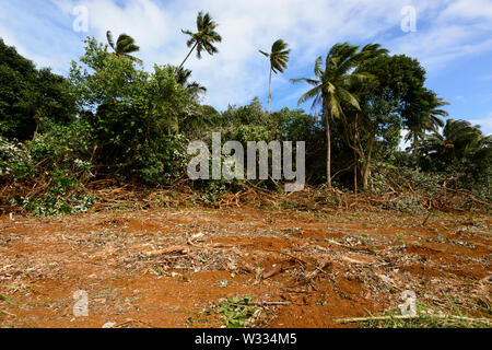 Land in den Prozess der abgeräumt, für Landwirtschaft, Aitutaki, Cook Inseln, Polynesien zu verwenden Stockfoto