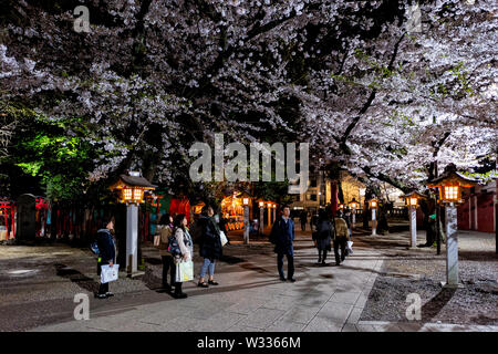 Tokyo, Japan - 4. April 2019: Hanazono Schrein inari Tempel mit Menschen in Garten Park mit Cherry Blossom Flowers an Bäumen in Shinjuku bei Nacht Stockfoto