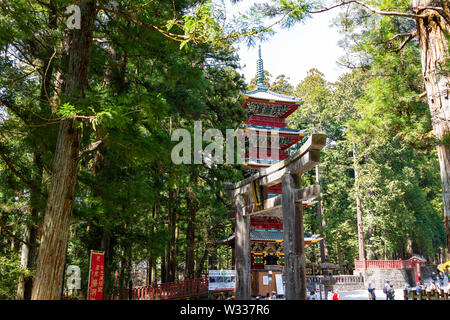 Nikko, Japan - April 4, 2019: toshogu Tempel mit Schrein Pagode torii Tor in der Präfektur Tochigi im Frühjahr mit Touristen Leute, Zeder Stockfoto