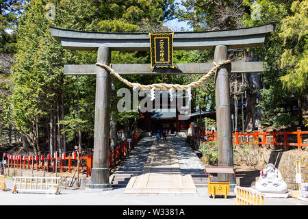 Nikko, Japan - April 4, 2019: Leute, Eingang Futarasan Tempel Heiligtum mit torii Tor, Seil und Papier in der Präfektur Tochigi im Frühjahr Stockfoto