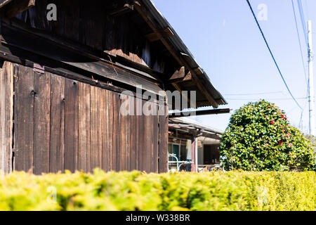 Traditionelle japanische Haus oder in Nikko der Präfektur Tochigi, Japan in Wohngegend mit angelegten Green Bush Zaun Stockfoto