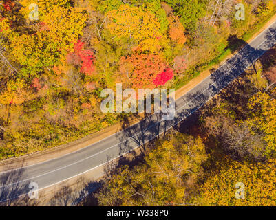 Luftaufnahme der Straße im schönen Herbst Wald bei Sonnenuntergang. Schöne Landschaft mit leerer Landstraße, Bäume mit roten und orangefarbenen verlässt. Autobahn durch Stockfoto