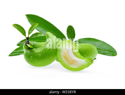 Garcinia schomburgkiana Pierre mit Tropfen Wasser auf weißem Hintergrund Stockfoto