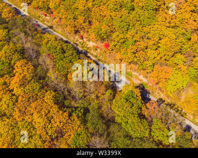 Luftaufnahme der Straße im schönen Herbst Wald bei Sonnenuntergang. Schöne Landschaft mit leerer Landstraße, Bäume mit roten und orangefarbenen verlässt. Autobahn durch Stockfoto