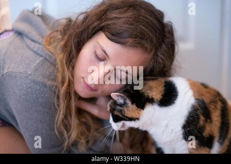 Closeup Porträt der jungen Frau Verklebung mit Calico Cat pet Begleiter, Stoßen, Reiben bunting Köpfe, Freunde Zuneigung zeigen Stockfoto