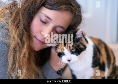 Closeup Portrait von Glücklich lächelnde junge Frau Verklebung mit Calico Cat pet, Stoßen, Reiben bunting Köpfe, Zuneigung zeigen Stockfoto