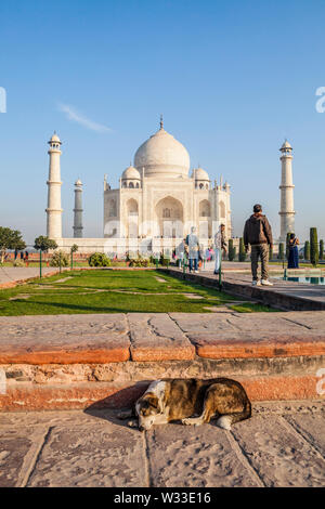 Das Taj Mahal und ein Schlafender Hund, Agra, Uttar Pradesh, Indien. Stockfoto