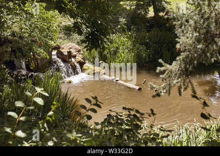 Boulder, Colorado - 11. Juli 2019: Kleiner See umgeben von üppigem Laub am Varsity Lake auf dem Campus der University of Colorado Boulder. Stockfoto